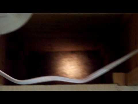 giant-wasp-nest-hive-attack-in-my-house-basement-crawl-space-bee-hornet