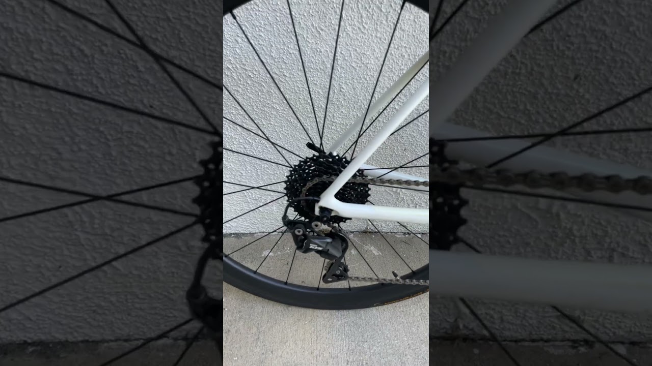 Skinny vegan finds a giant TCR road bike in Los Angeles  