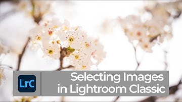Culling Workflow in Lightroom Classic | PPT LrC