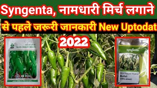 Best chilli seed varieties // High-yield green chilli varieties @SyngentaIndia @namdhari