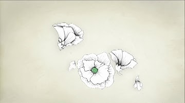 Data Validation Services - B2B Scorpion