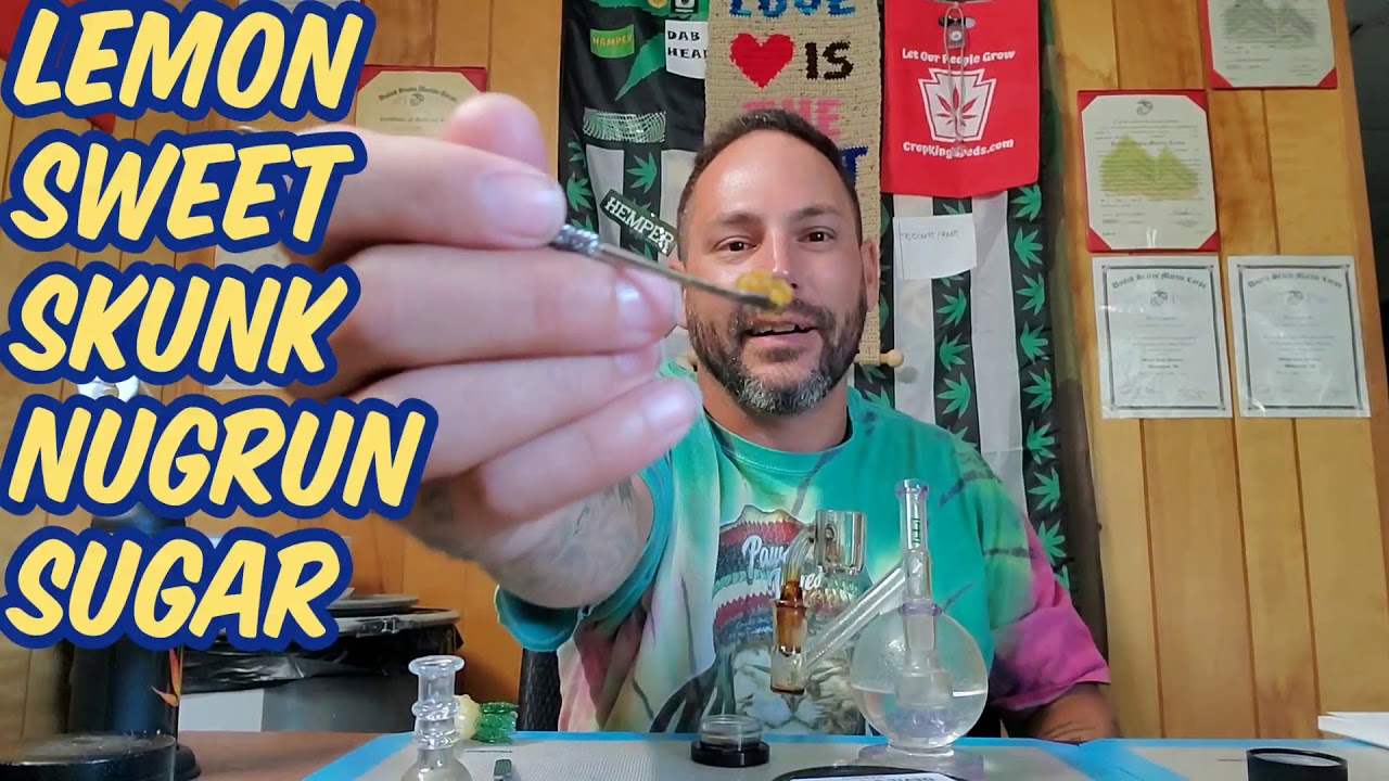 TERRAPIN LEMON SWEET SKUNK NUGRUN SUGAR REVIEW