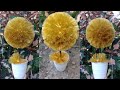 How To Make Flowers Grass Balls from Metalik Ribbons (Keren Bunga Bola Rumput dari Pita Metalik)