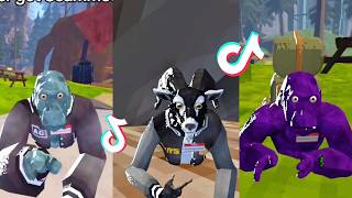 Funny Moments of Animal Company | Unbelievable TikTok Compilation
