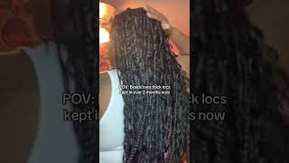 Braids #funny #florida #locs #braidsoverlocs