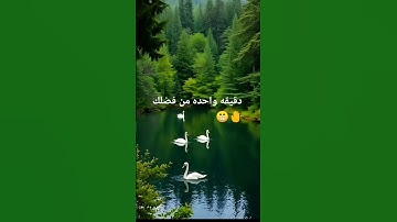 #عبدالرحمن_مسعد #سورة_المؤمنون #اكسبلور #القزابري #emoji #anime #المصحف #لايك #اهميه #ترند