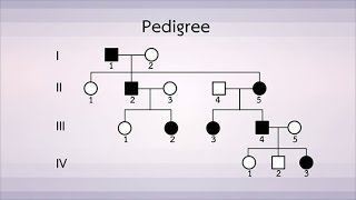 การศึกษาพันธุประวัติ วิทยาศาสตร์ ม.4-6 (ชีววิทยา)