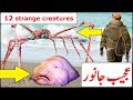 ajeeb o ghareb janwar/makhloqat/PART 1/ [12 strange creatures on earth]/urdu/hindi/weird animals