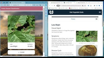 Deep Learning Project End To End - Potato Disease Classification