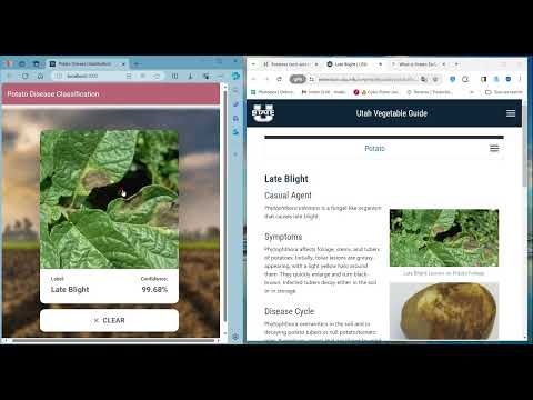 Deep Learning Project End To End - Potato Disease Classification