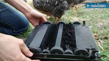 Replacing the Brushes in the Bissell Natural Sweep