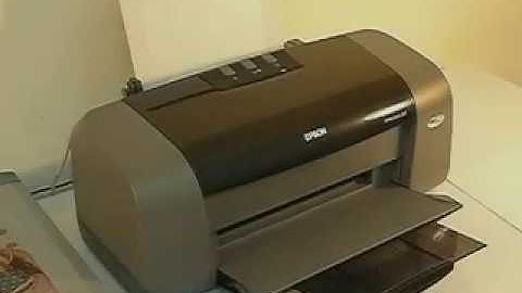 digital heat  paste printing system