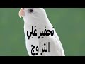 صوت لتهييج ذكر الكوكتيل