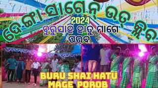 Buru Shai Hatu Mage porob 2024 #megeporob #odisha #danagadi