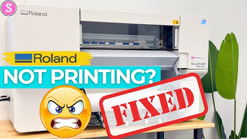 FIX! Roland Not Printing? Do This to Fix Your BN2 or BN 20A