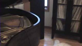 The Light Moaning in the Darkness  Suikoden V