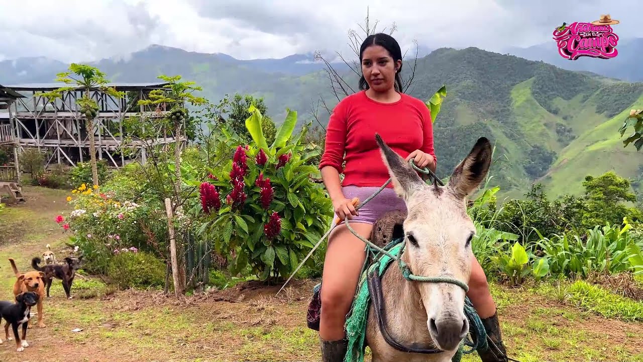 Cosechando yucas acompañada de mi burrito
