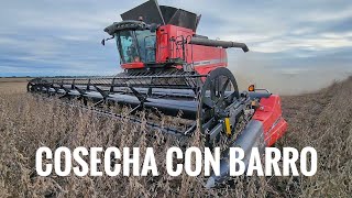 COSECHA de SOJA con la MASSEY FERGUSON 9795 LLUEVE de nuevo...