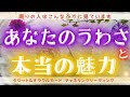 【真実が知りたい方は見てください💥】あなたの噂～周囲＆自分自身＆守護存在から見たあなたの姿、包み隠さずお伝えします～［タロット・オラクルカードリーディング］