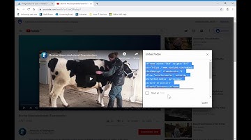 7. Open Labyrinth: Inserting a video via YouTube