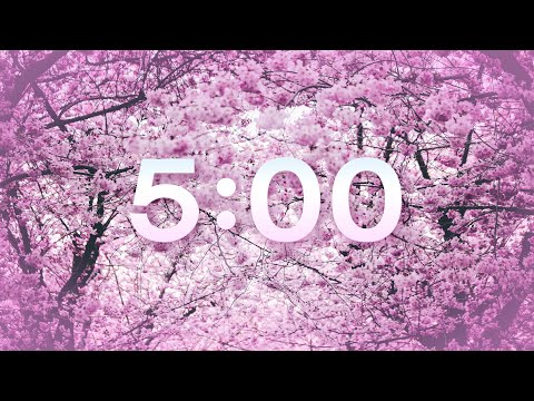 SPRING 5 MIN TIMER