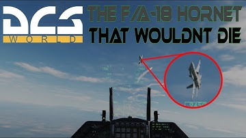 Can The F-16 Win The One Circle Fight Against An F/A-18 Hornet? (Guns Only, No Commentary) | DCS