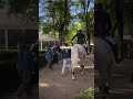 LGCT GRAND PRIX OF MADRID WINNER 👀😮‍💨‼️🇪🇸🔥🐴