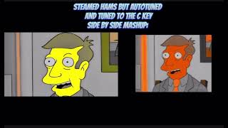 Steamed Hams But Its 2 Side By Side Mashups Of The Autotuned Version And The C Key Version.