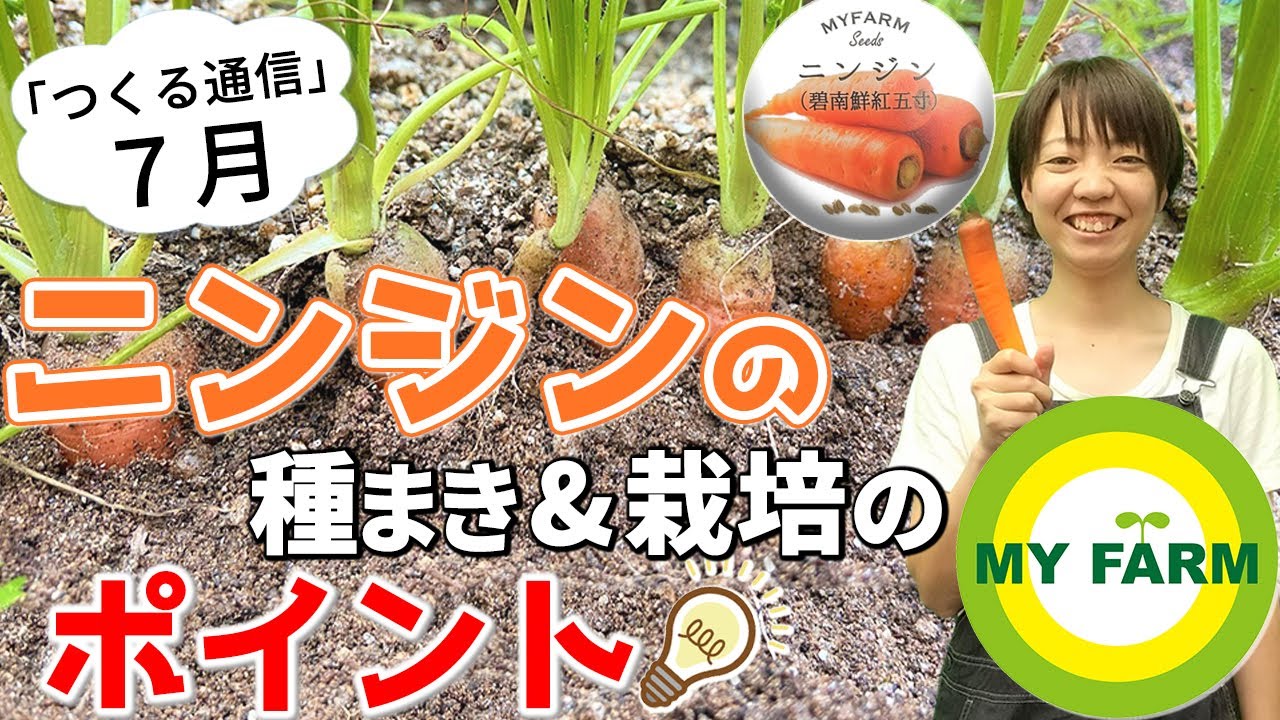 ニンジンの育て方を徹底解説 種まきのコツから栽培管理 収穫まで 7月つくる通信 Youtube