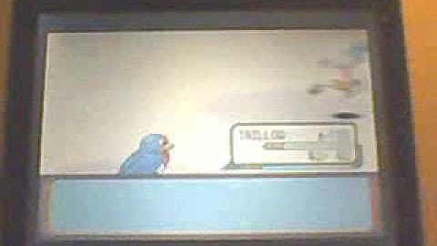 pokemon ruby walktrougth part 8 gym time on the beach