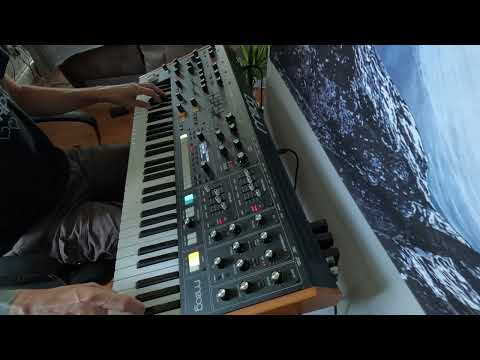 First Patch With The MOOG Muse
