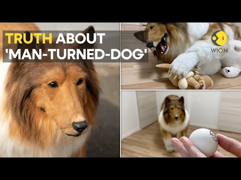 Japanese man who transformed into dog says people 'misinformed' about him | WION Originals