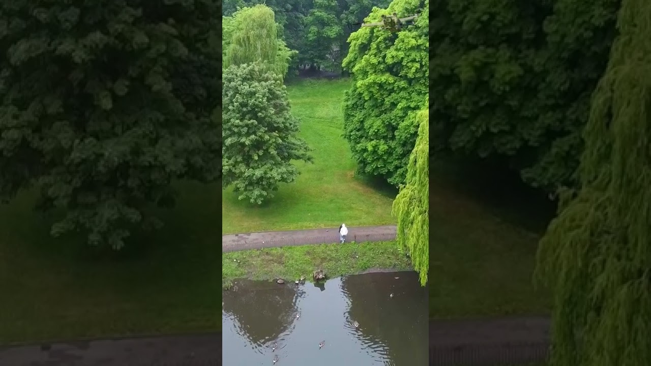 Slow Motion Video, DJi Mini 3 Pro Drone's Flight Water Birds & Lake 