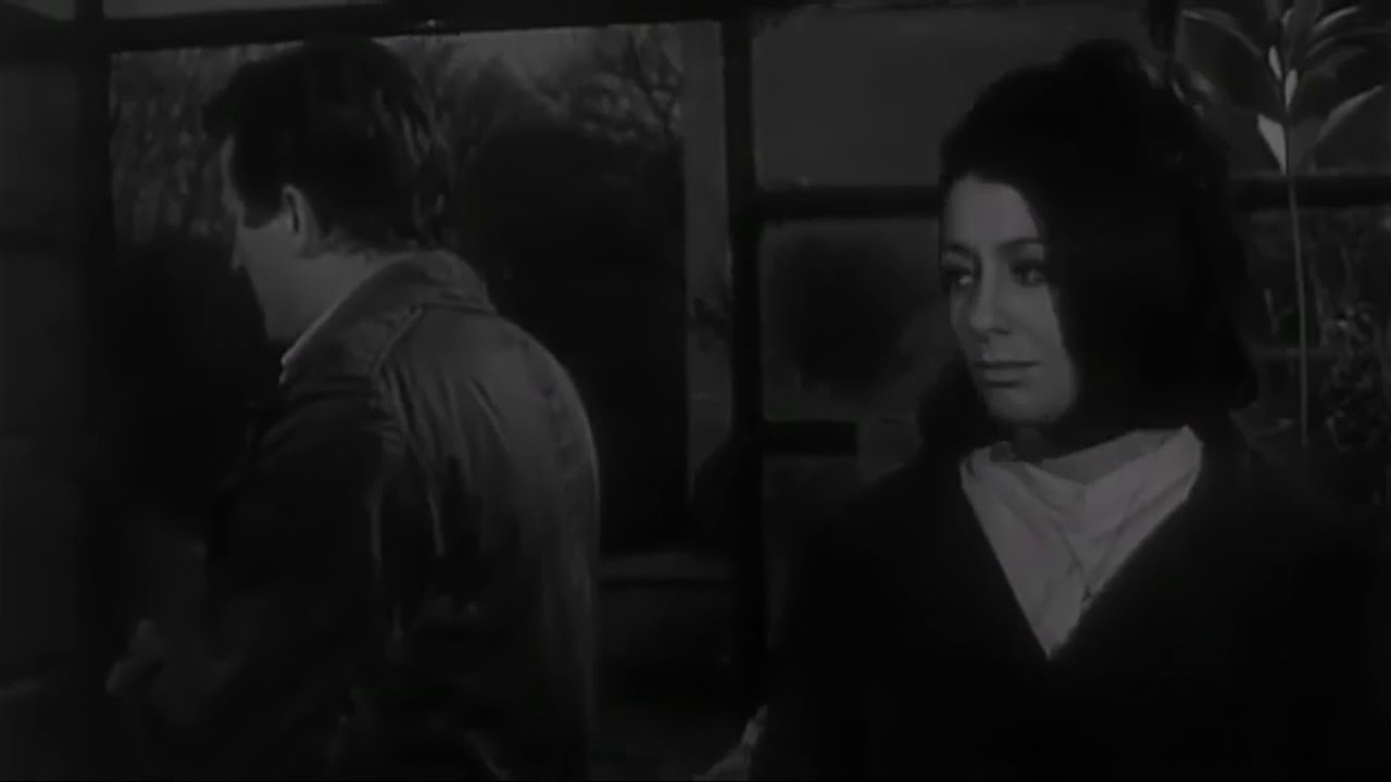 Sevmek Zamanı - Ben Senin Resmine Aşığım