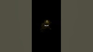 قرآن كريم #الرحمن #المصحف #اكسبلور #لايك