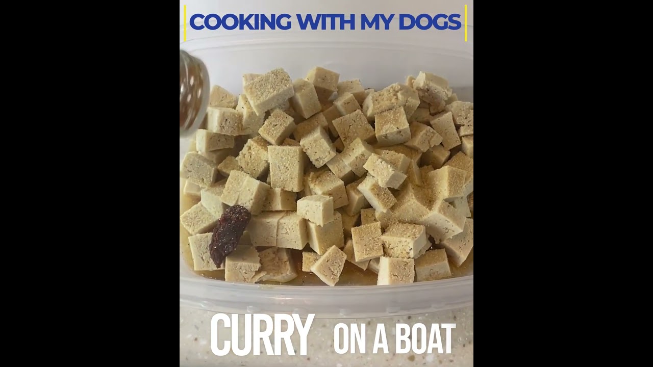 Curry on a Boat! 2 of 3 