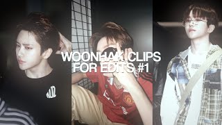 woonhak clips for edits #1
