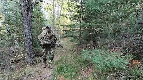 MTP Multicam variant Camouflage Effectiveness in Fall Season ~ Multi terrain Pattern 2 15