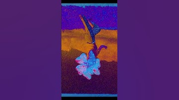 Collage Animation in After Effects ✂️ (Mixed Media Style) #scrapbookingAnimation