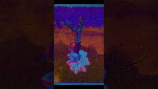 Collage Animation in After Effects ✂️ (Mixed Media Style) #scrapbookingAnimation