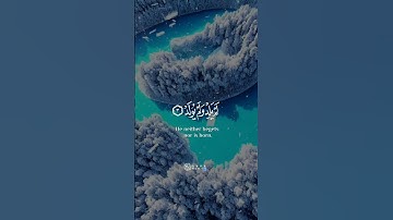 سورة الإخلاص  || (القارئ شريف مصطفي) #quran #قرآن 🌸