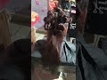 Haircutting views hair viral views beutyparlour reelsyoutubeshorts views hair