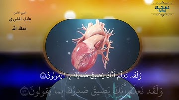 ولقد نعلم أنك يضيق صدرك منتاج رائع لتلاوة جميلة للشيخ الفاضل عادل المشوري