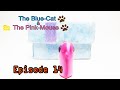 The Blue-Cat & The Pink-Mouse: "¡Surprise!" (Ep. #14)