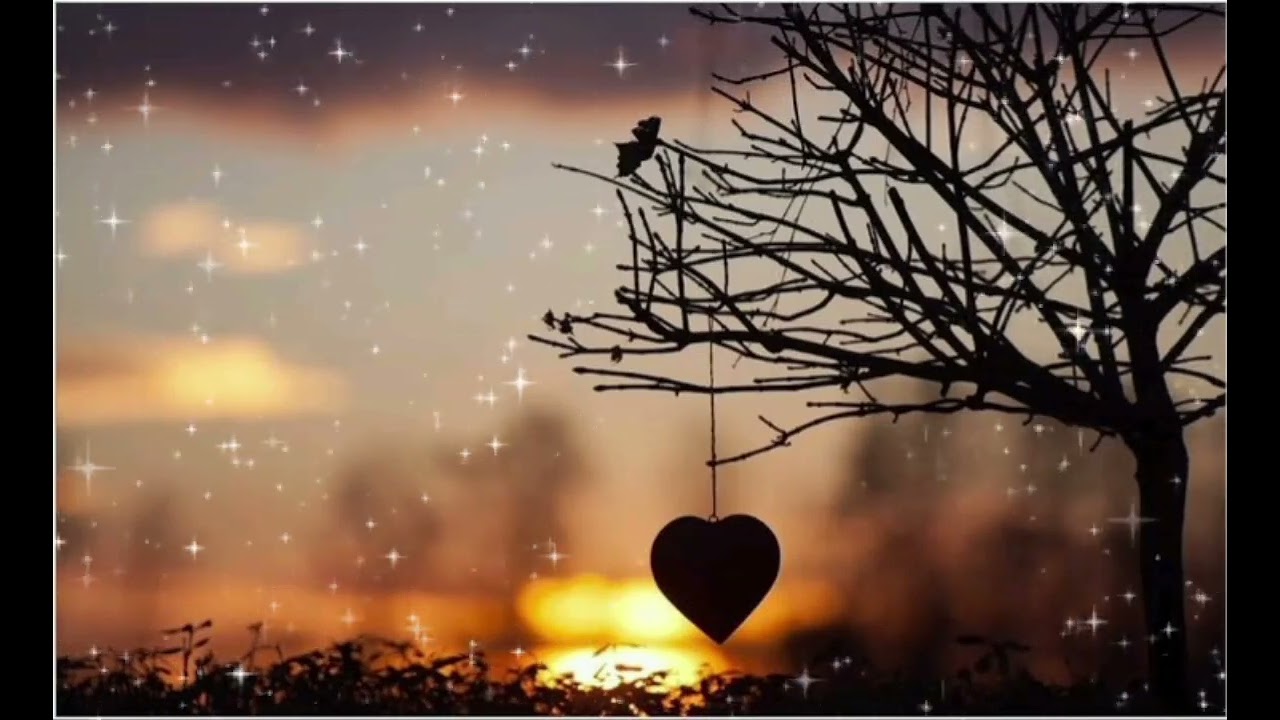 Api Cinta | by. Leon Production