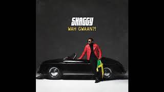 Shaggy - Ketch Mi Up [Wah Gwaan!] (2019)