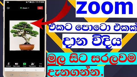Zoom ekata photo ekk danna sinhalen|How to add profile pictrure on zoom app sinhala|zoom app photo