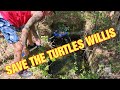 Save the turtles willis