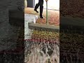 asmr foaam scraping #satisfying #asmr