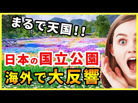 【海外の反応】『まるで天国だ・・!』幻想的な日本の国立公園の風景に外国人が大反響